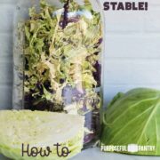 Dehydrated cabbage in a jar with fresh cut cabbage in the foreground