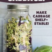 Dehydrated cabbage in a jar with fresh cut cabbage in the foreground