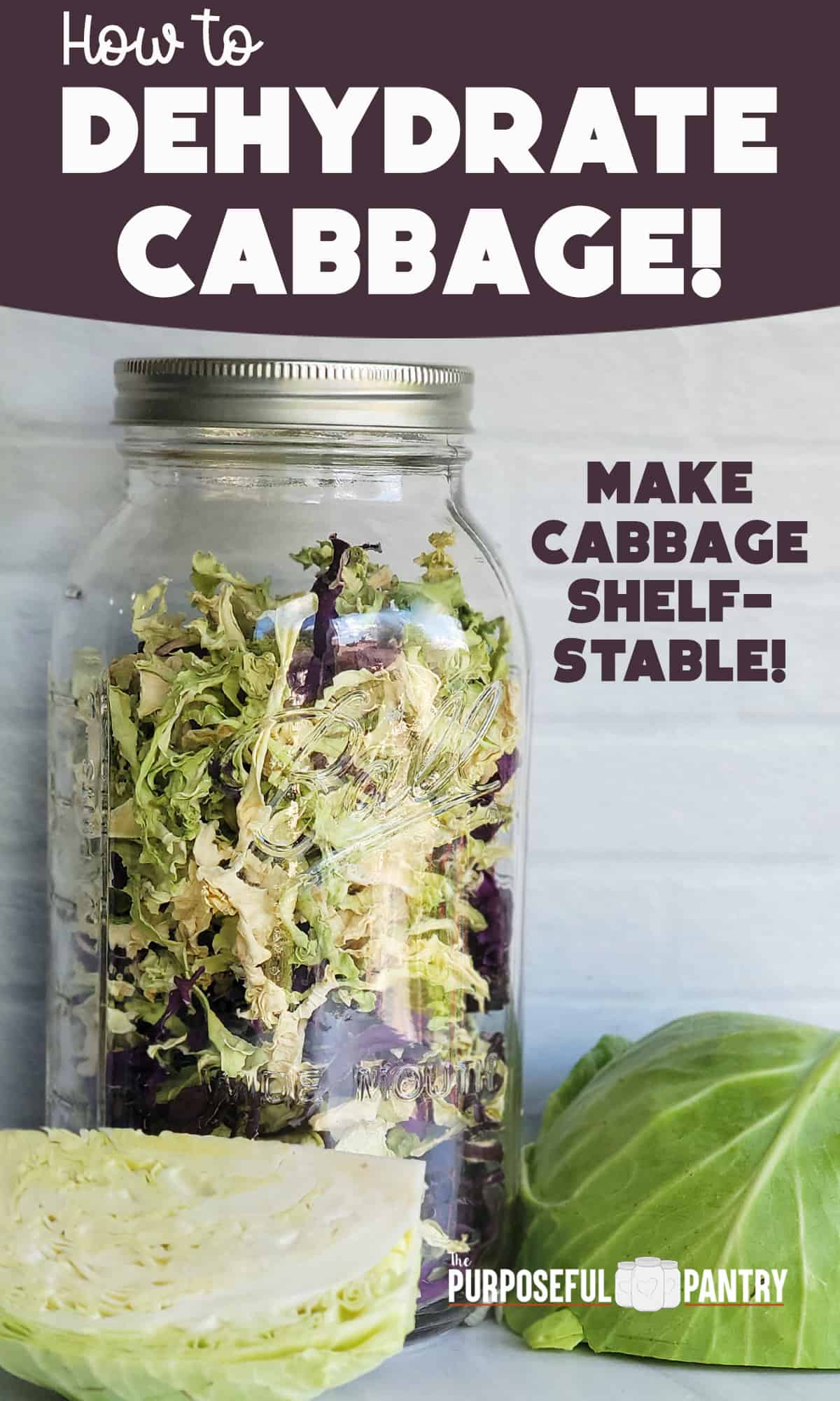 Dehydrated cabbage in a jar with fresh cut cabbage in the foreground