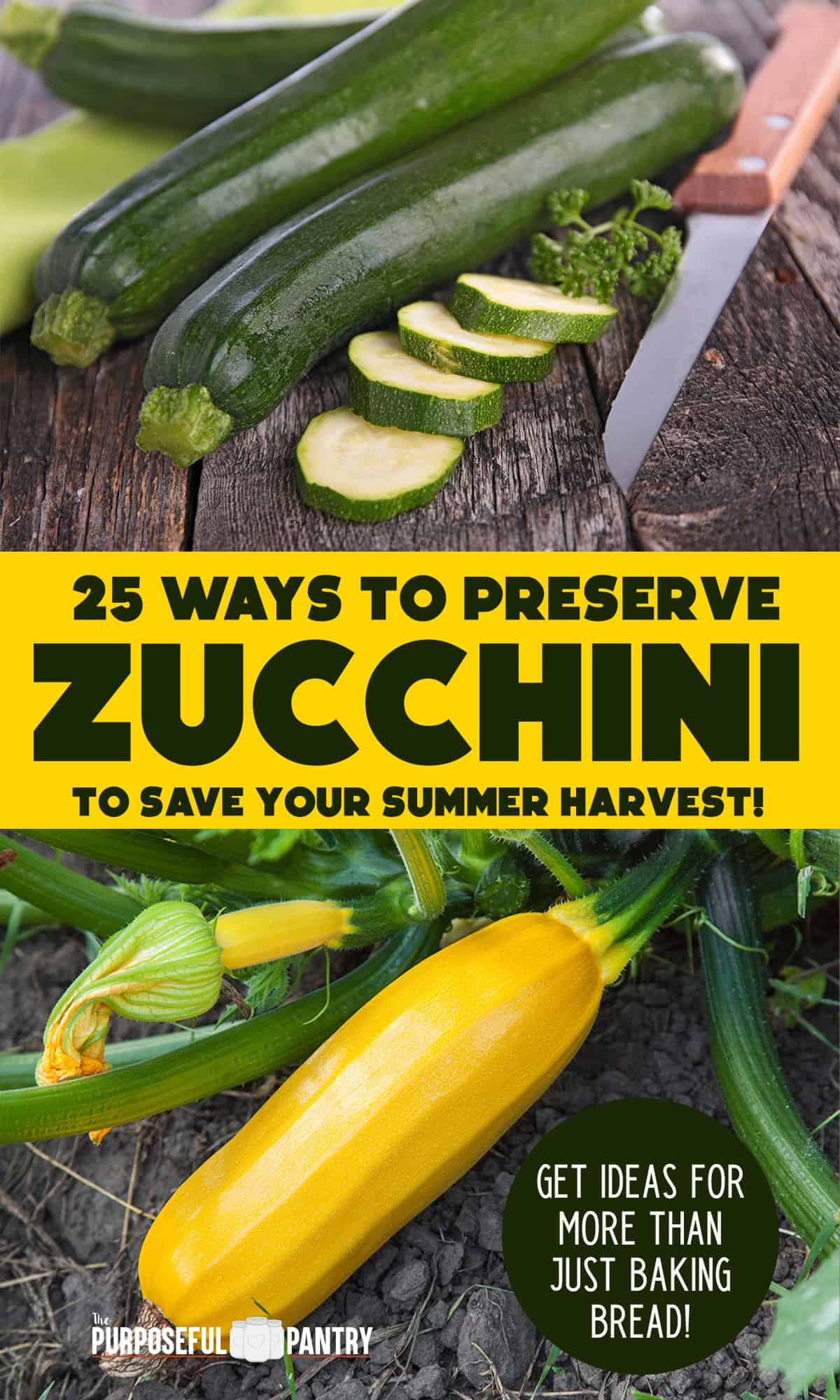 Green and gold zucchini for pin on how to preserve zucchini