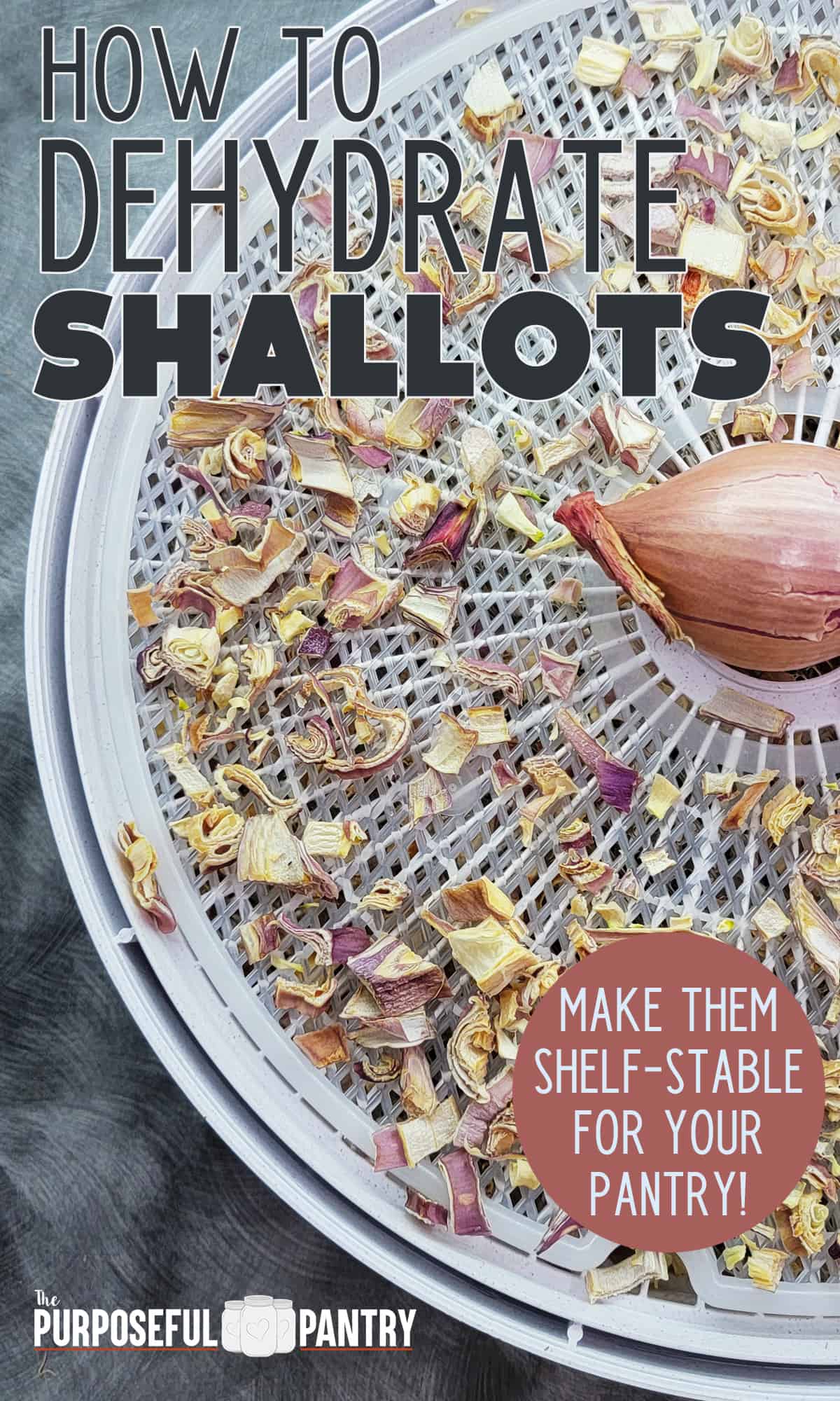 Dehydrated Shallots on a Nesco dehydrator tray