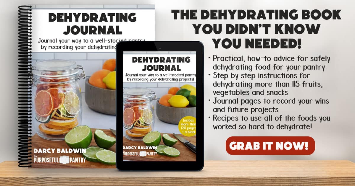 Dehydrating Basics & Journal for Beginners and Beyond book ad