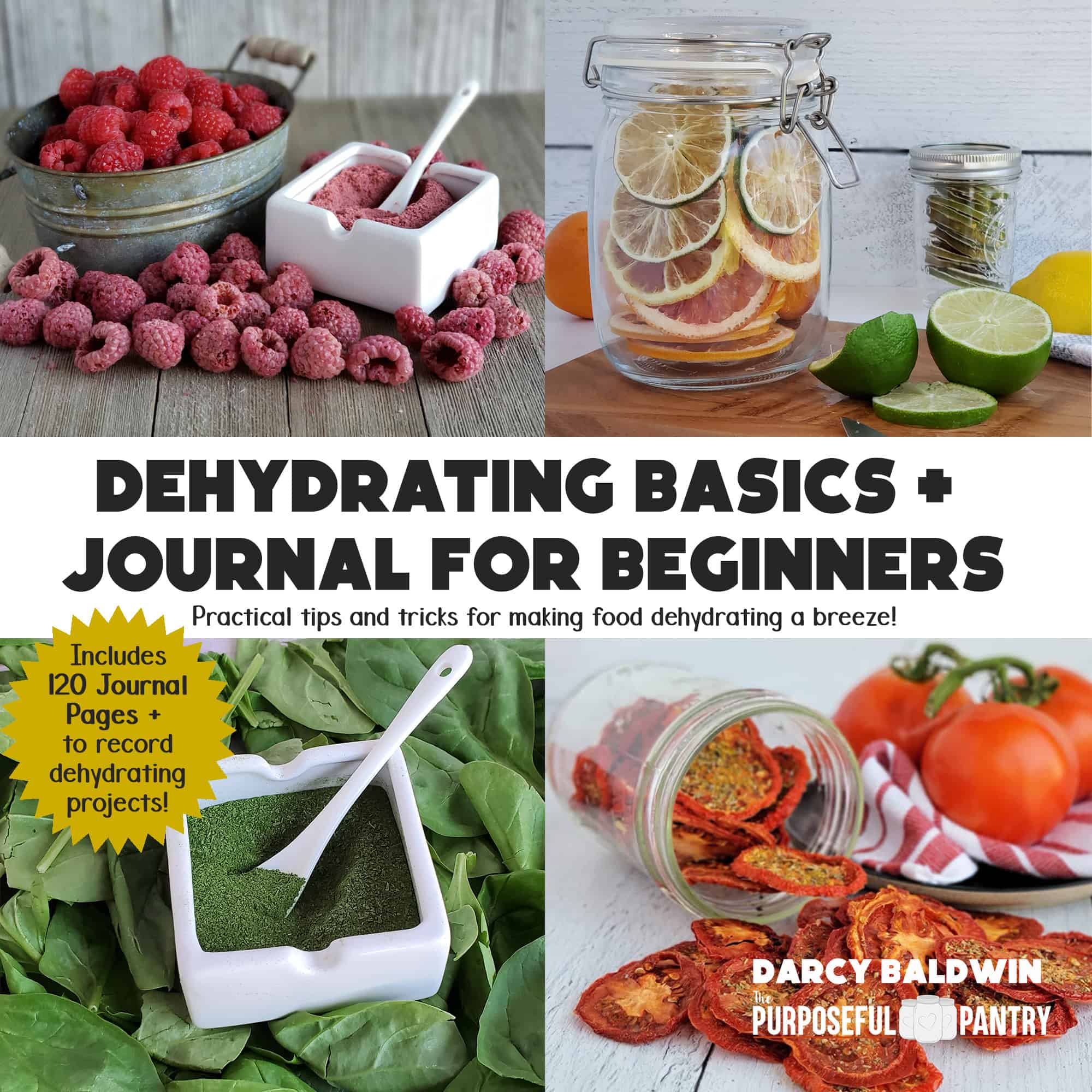 Dehydrating Basics & Journal for Beginners and Beyond front cover