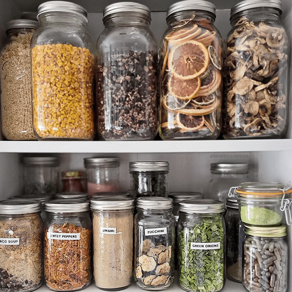 jars of dehydrated foods on a pantry shelf