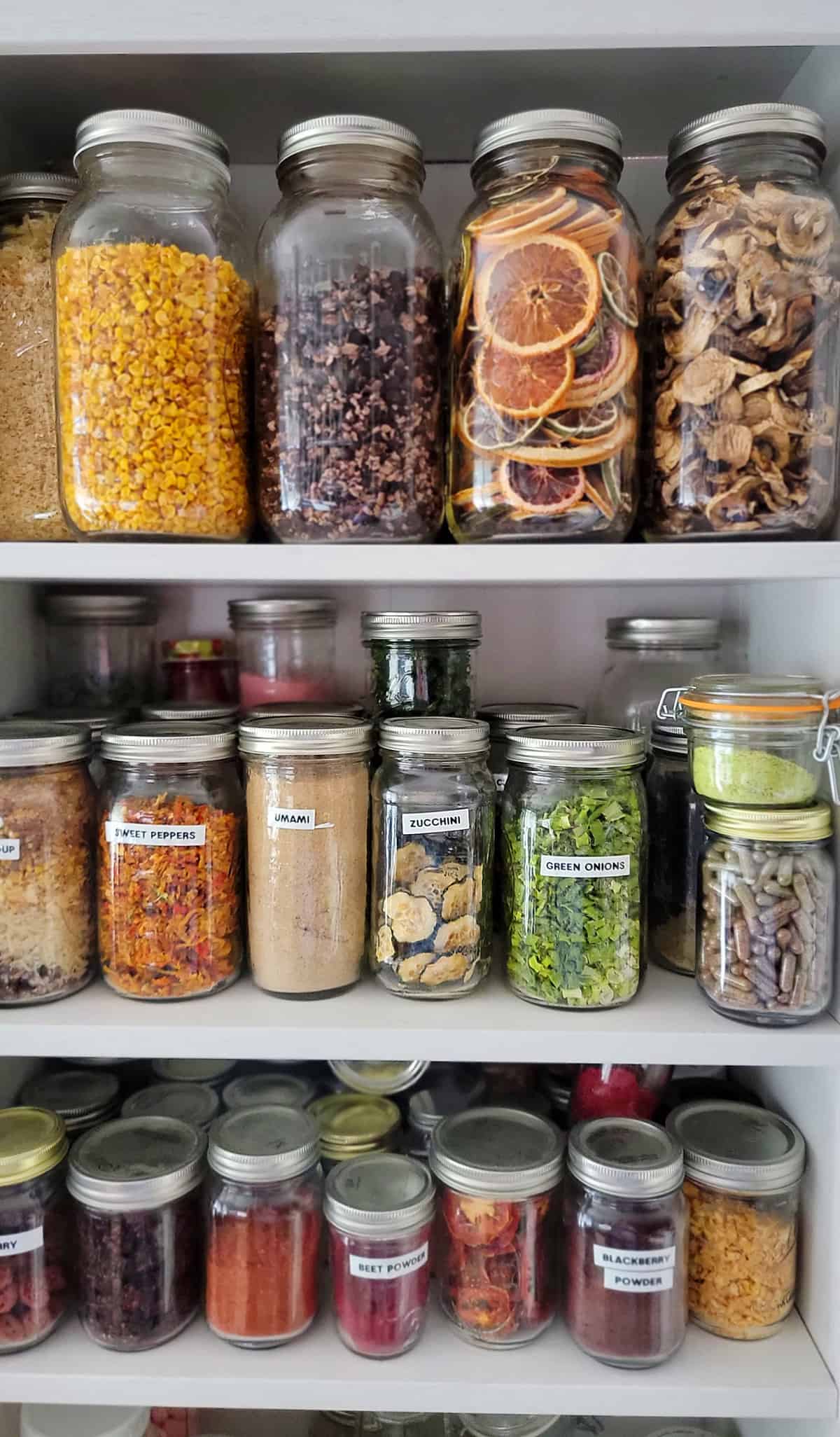 Jars of dehydrated foods on a white bookshelf.