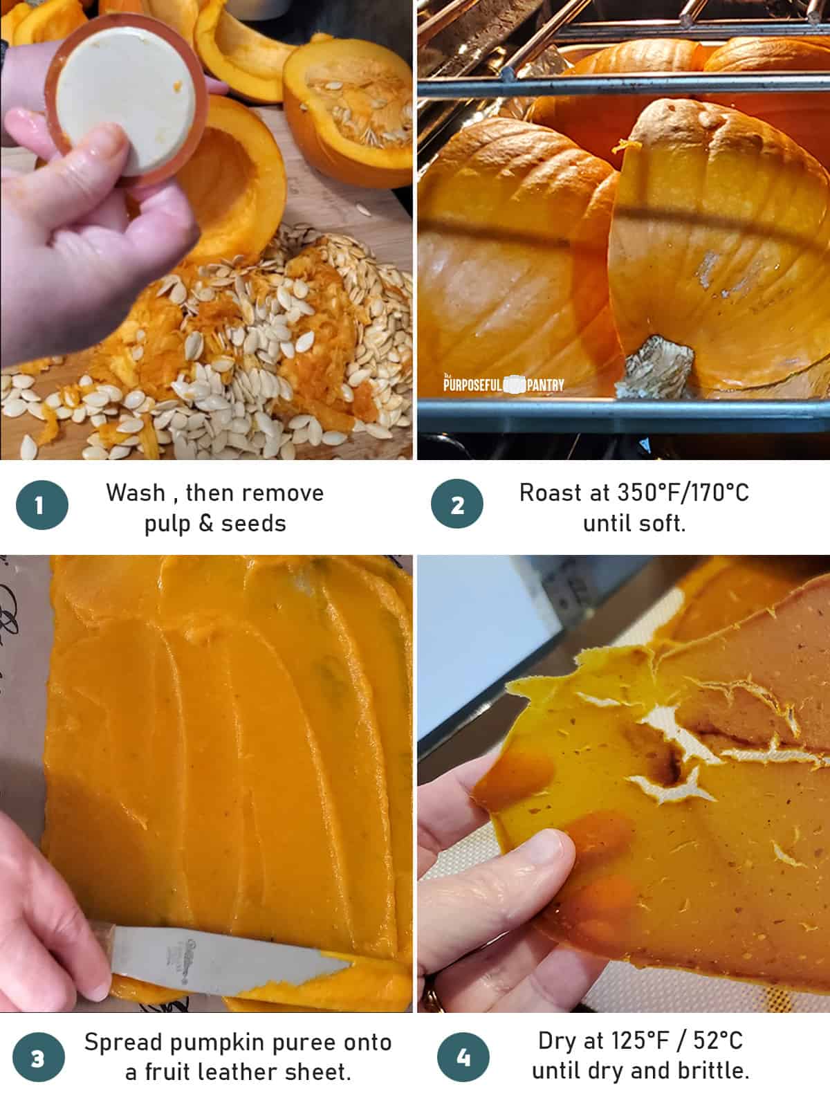 Step by Step instructions on dehydrating a pumpkin