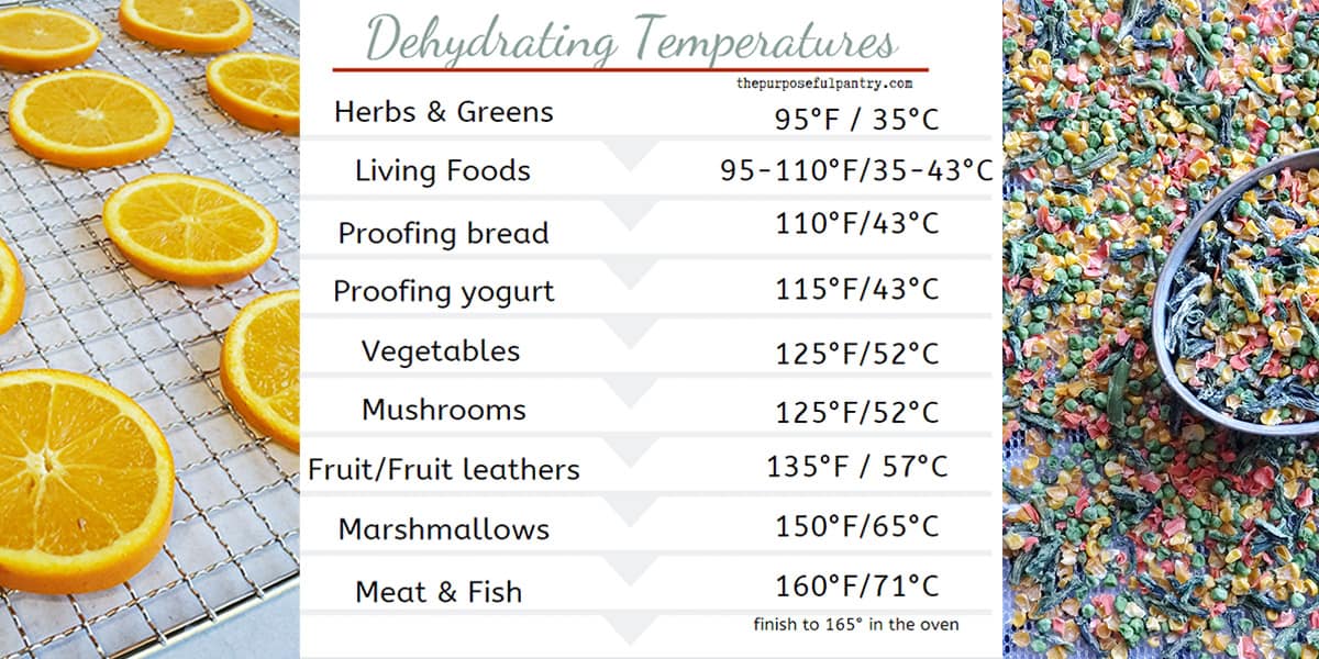 Alert Gnide genetisk Best Temperature to Dehydrate Fruits and Vegetables - The Purposeful Pantry