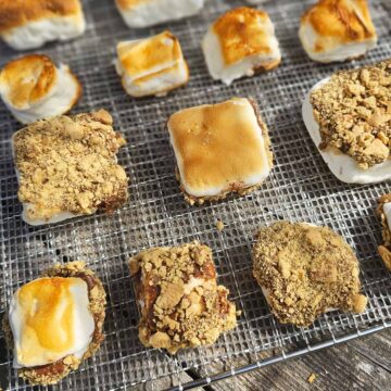 Dehydrated roasted marshmallow s'mores on dehydrator tray on wooden surface.