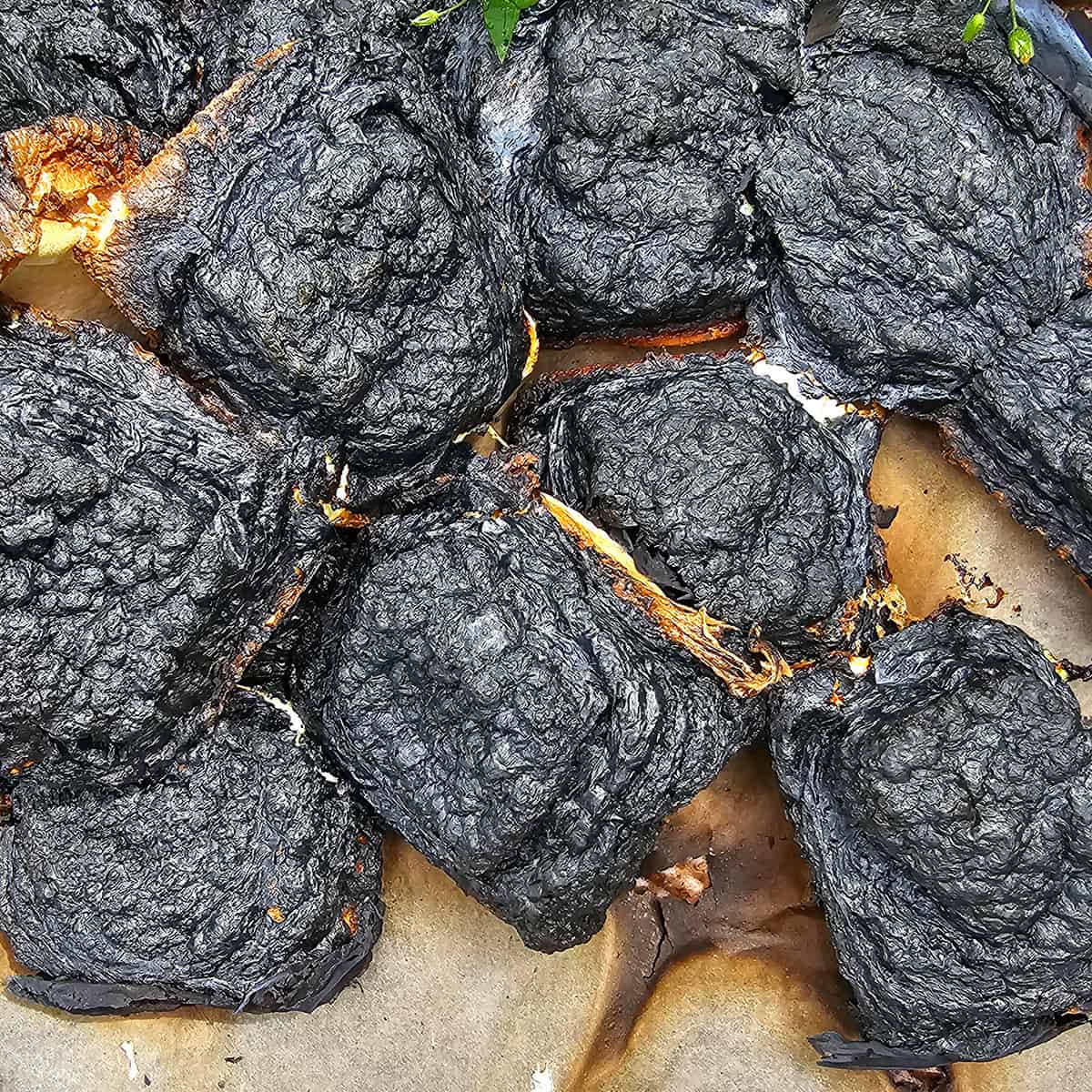 A tray of burned roasted marshmallows.