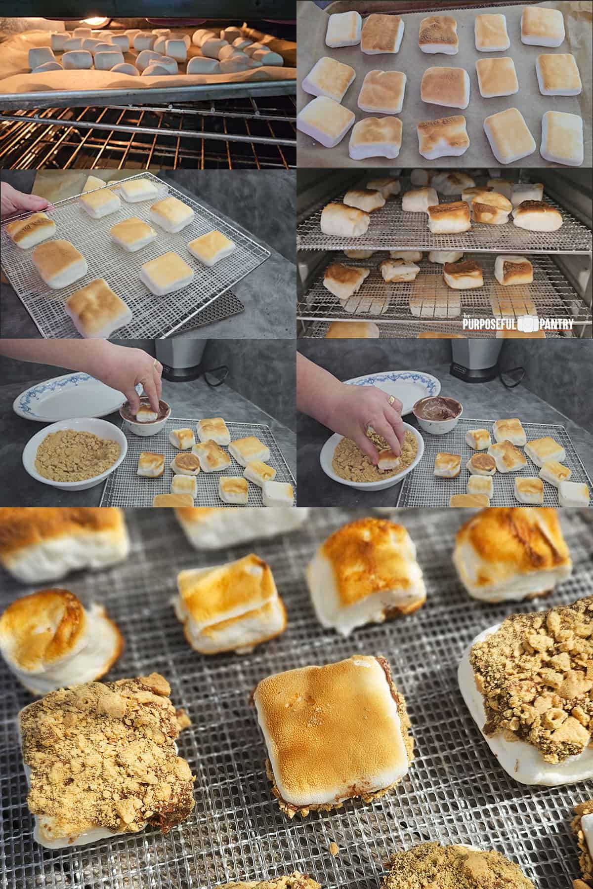 Visual Step by step instructions to create dehydrated roasted marshmallow s'mores.