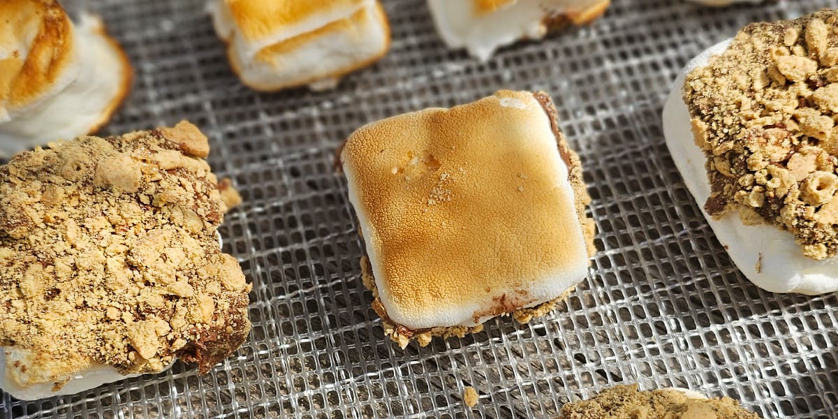 Dehydrated Roasted Marshmallow S'mores