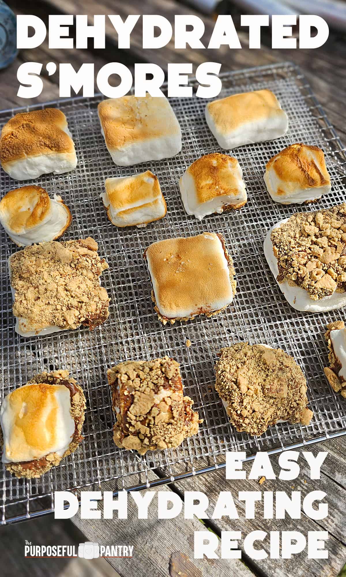 Dehydrated Roasted Marshmallow S'mores The Purposeful Pantry
