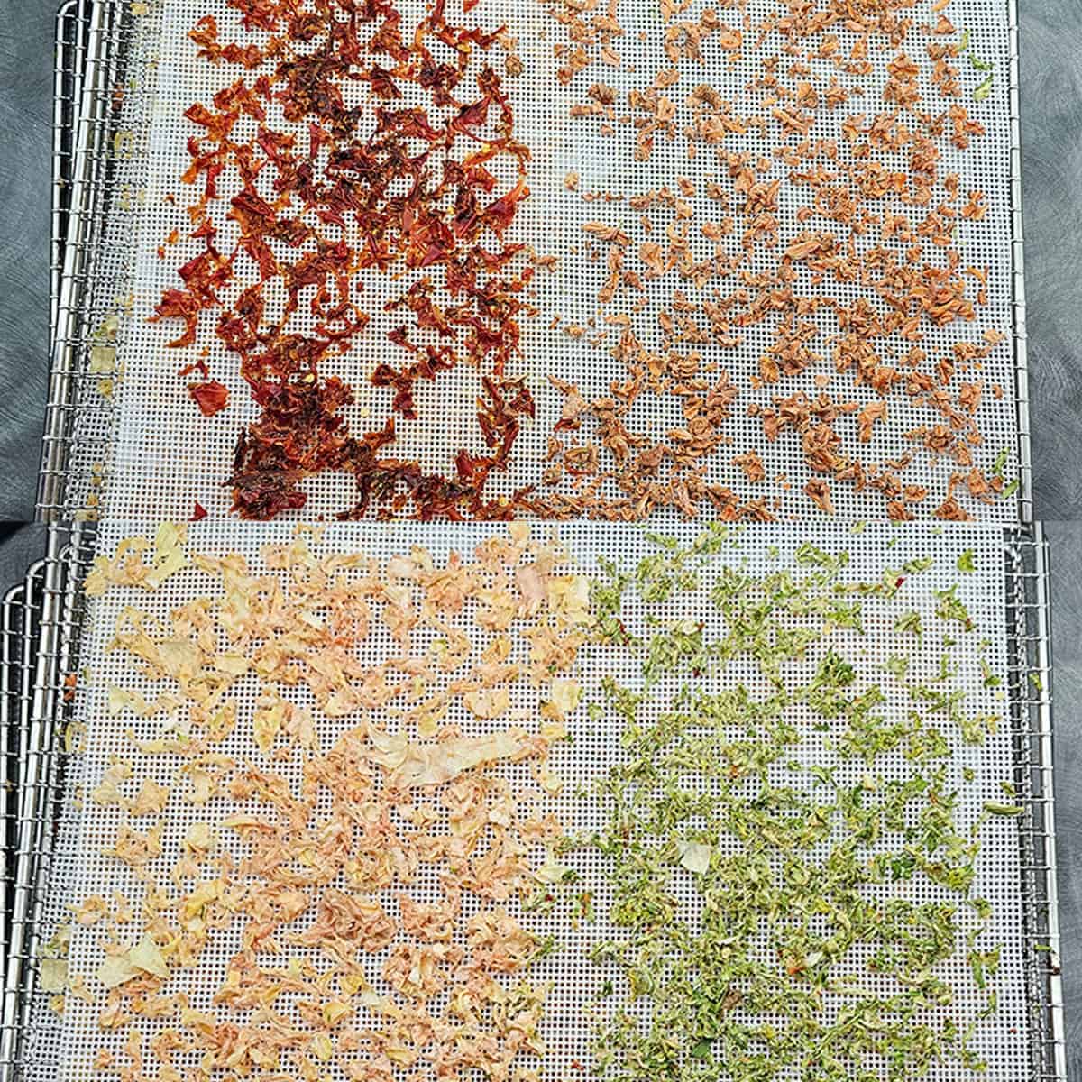 Three different types of dried herbs on a drying rack.