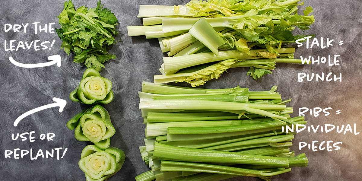 Celery and all of its parts in preparation for dehydrating.