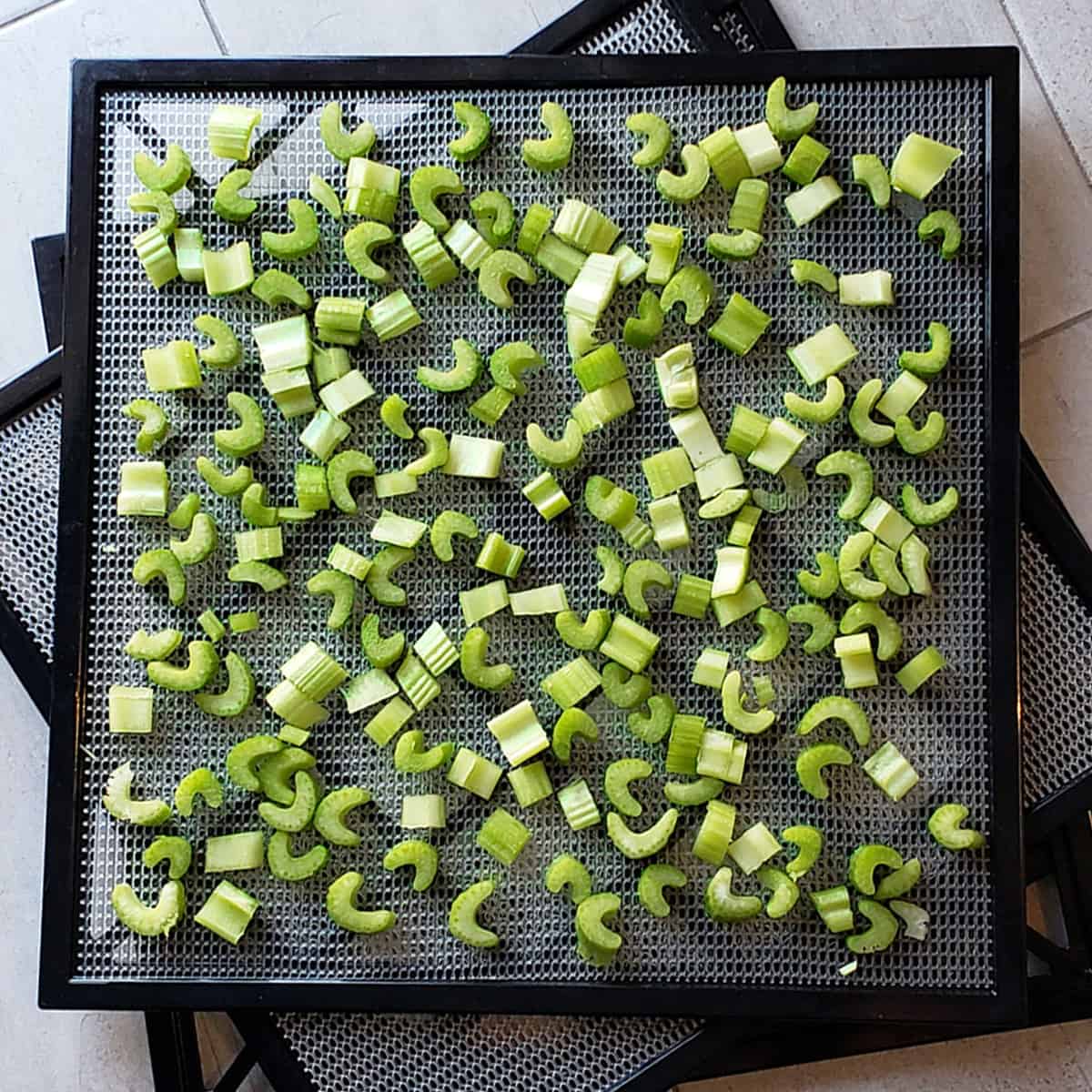 Sliced celery on Excalibur dehydrator trays.