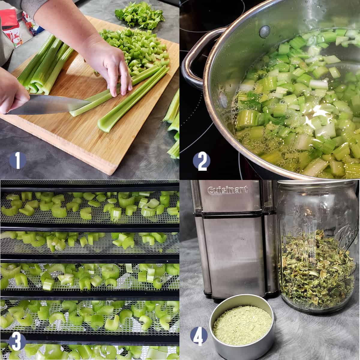 A collage of pictures showing how to dehydrate celery.
