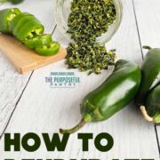 Fresh jalapenos surrounding a jar of dehydrated jalapenos with text, "How to Dehydrate Jalapenos."