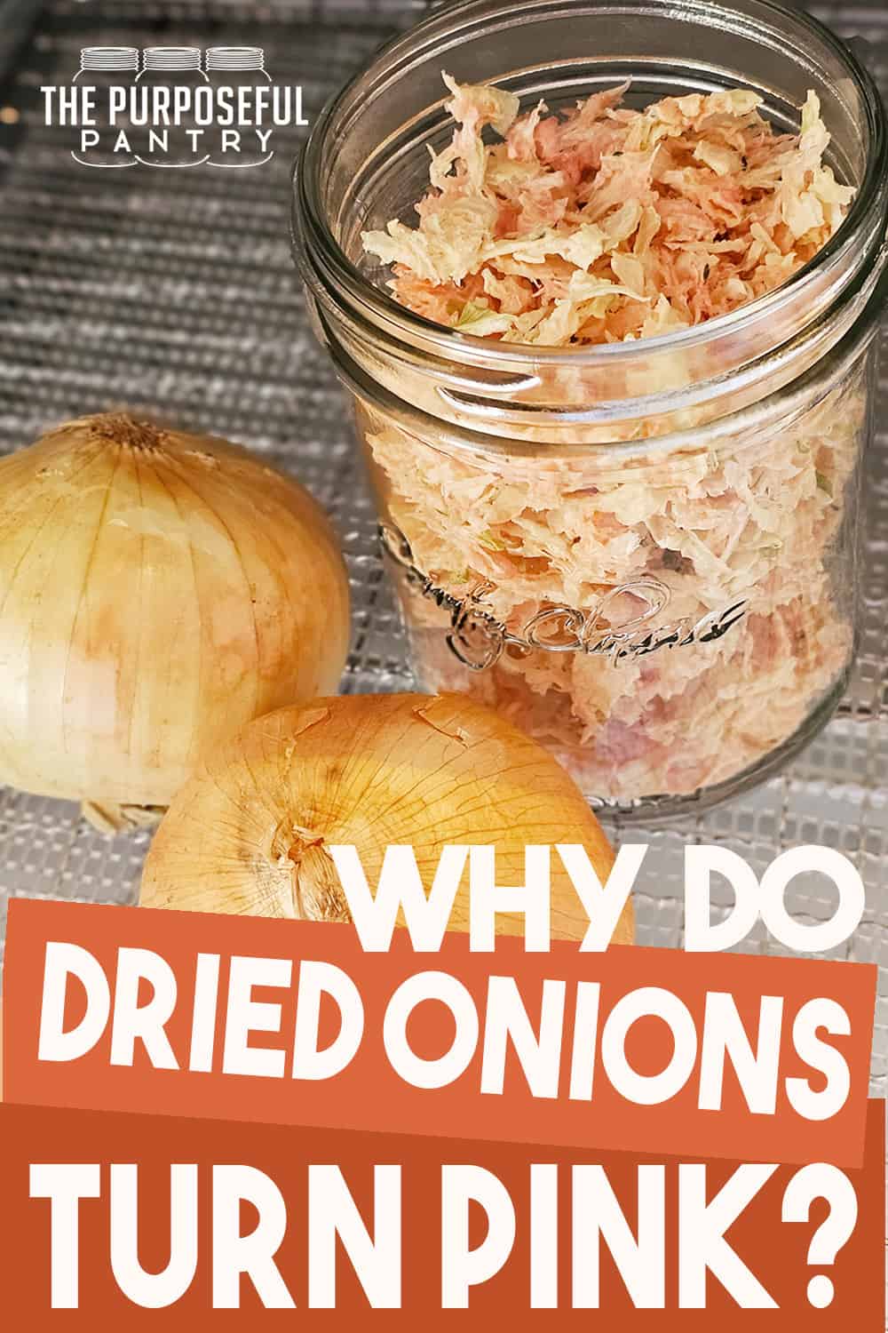 Dried onions in a jar with the text why do dried onions turn pink?.