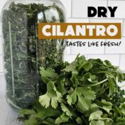 How to freeze dry cilantro.
