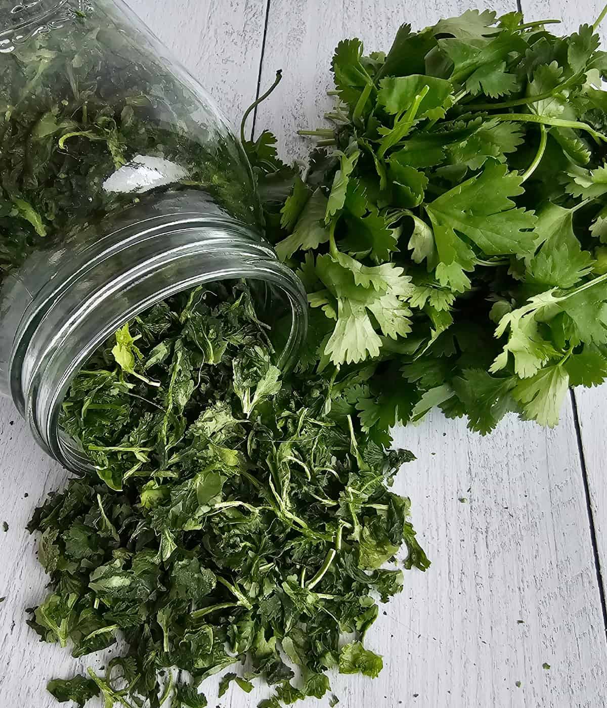 Fresh parsley in a jar on a white table.