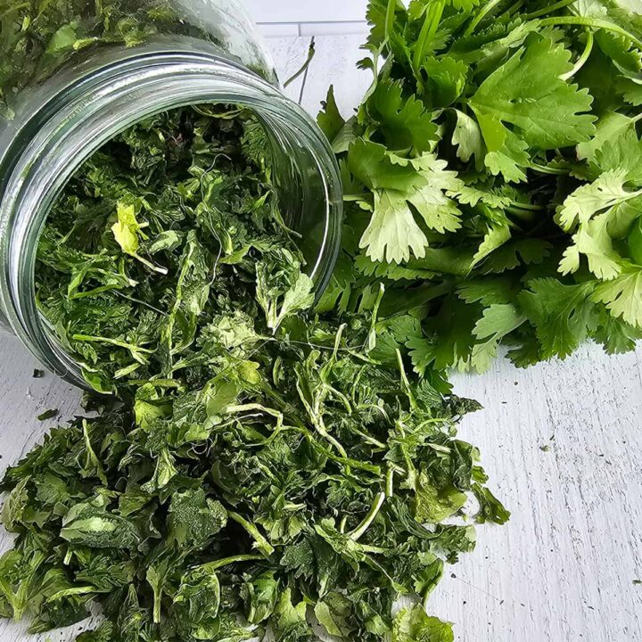Fresh cilantro in a jar on a white table.