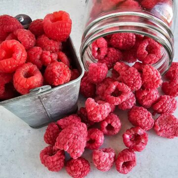 Freeze-dried raspberries in a jar next to a bucket of fresh raspberries.