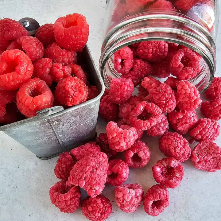 How to Freeze Dry Raspberries - The Purposeful Pantry