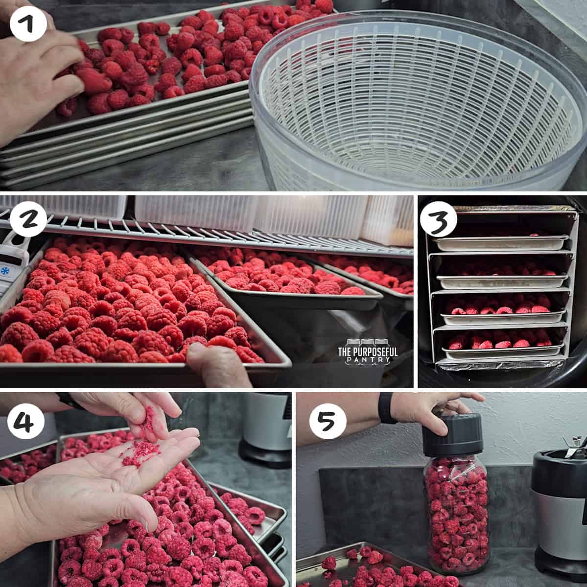 How to Freeze Dry Raspberries The Purposeful Pantry