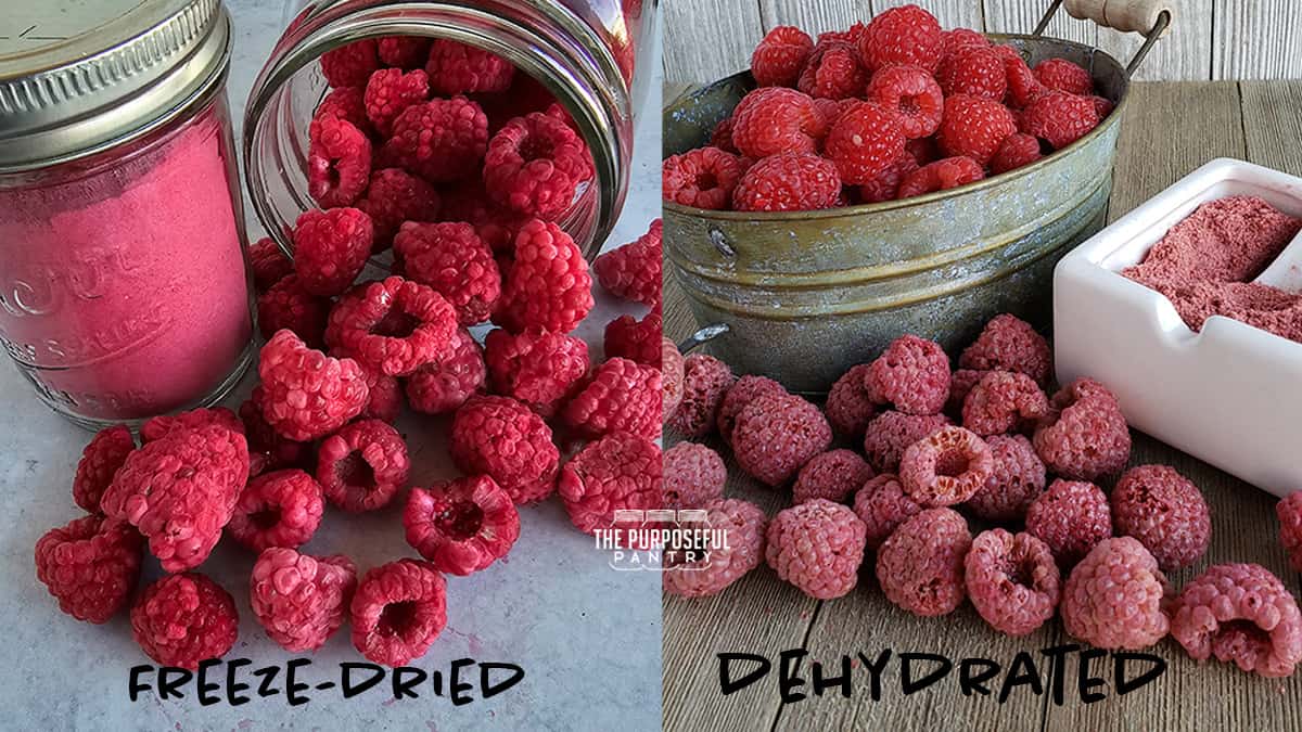 Freeze dried raspberries versus dehydrated raspberries.