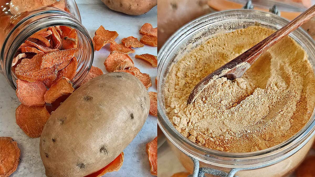 Dried sweet potatoes and sweet potato powder in a jar with a wooden spoon.