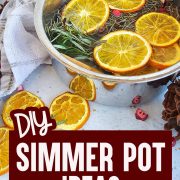 Diy summer pot ideas with dried foods.