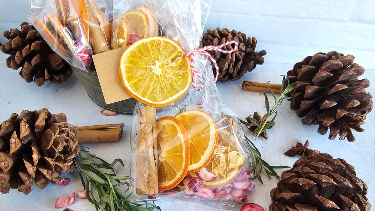 A bag with driedoranges, cinnamon sticks and pine cones.