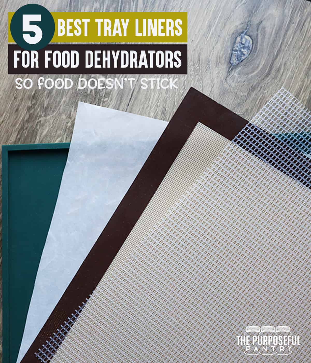 Food Dehydrator Tray Liners: Lipped silicone; teflon; silicone; mesh