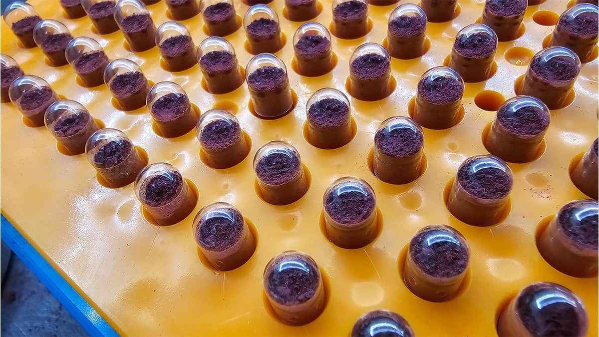 A yellow tray with a lot of chocolates on it, decorated with DIY beet powder.