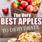 A basket of fresh apples at the top of the photo with a basket of dried apple rings in the bottom half of the photo.