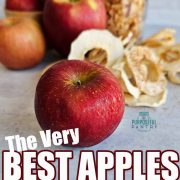 A red apple with dried apple rings and apple shreds in the background.