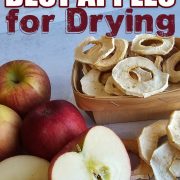 Red apples next to a basket of dried apples with text that reads The Very Best Apples for Drying