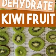 Guide to dehydrating kiwi fruit.