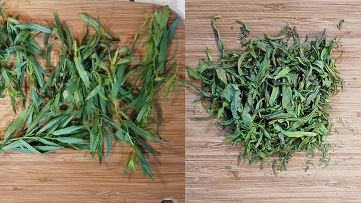 Side-by-side comparison of fresh tarragon leaves on one cutting board and dried tarragon leaves on another cutting board.