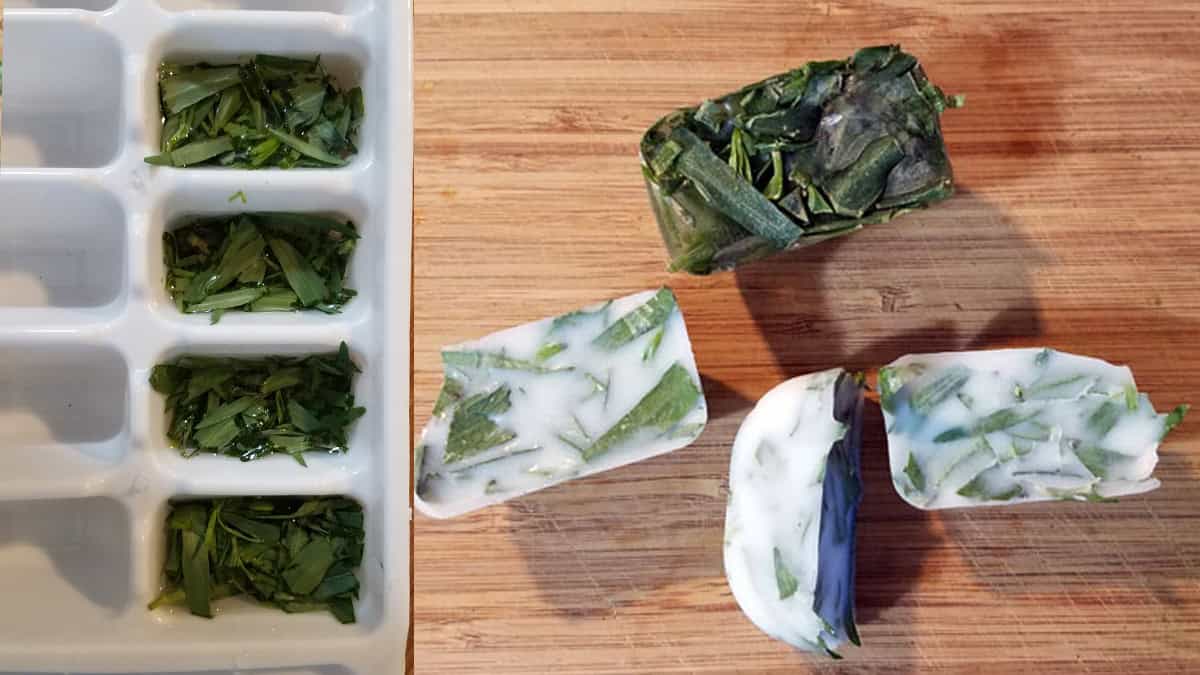 Ice cube tray filled with tarragon leaves next to several herb-infused frozen rectangle blocks on a wooden surface.