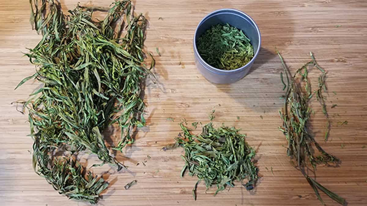 Dried tarragon leaves on a wooden cutting board being stored in an herb container.