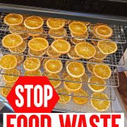 Slices of oranges arranged on a dehydrator tray, with an overlaid text reading "Stop Food Waste by Dehydrating Food" at the bottom of the image.