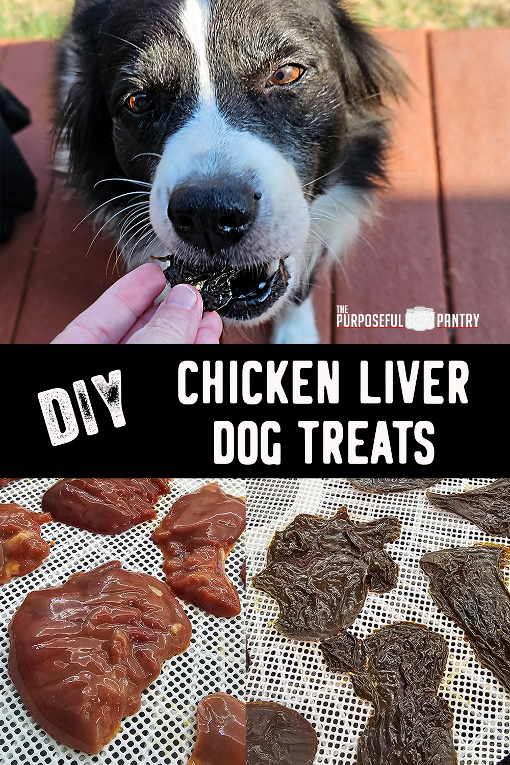 DIY Dehydrated Chicken Liver Treats for Dogs - The Purposeful Pantry