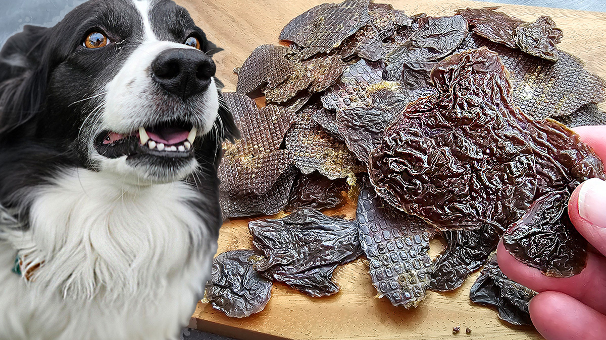 DIY Dehydrated Chicken Liver Treats for Dogs