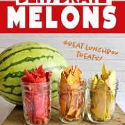 Image showing a large watermelon and three small jars filled with dried melon slices. The text reads "How to Dehydrate Melons" and "Great Lunchbox Treats!" from The Purposeful Pantry.