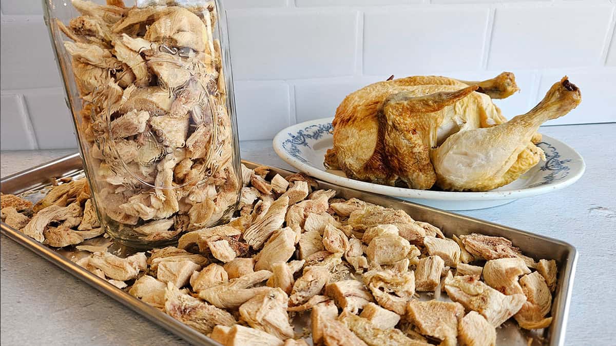 How to Freeze Dry Rotisserie Chicken The Purposeful Pantry