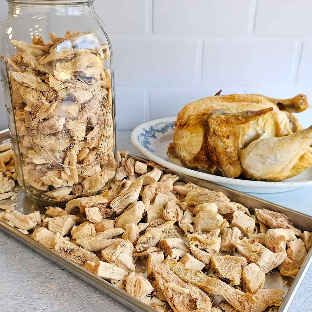 A tray of dried chicken pieces, a jar filled with similar pieces, and a cooked chicken on a plate in the background.